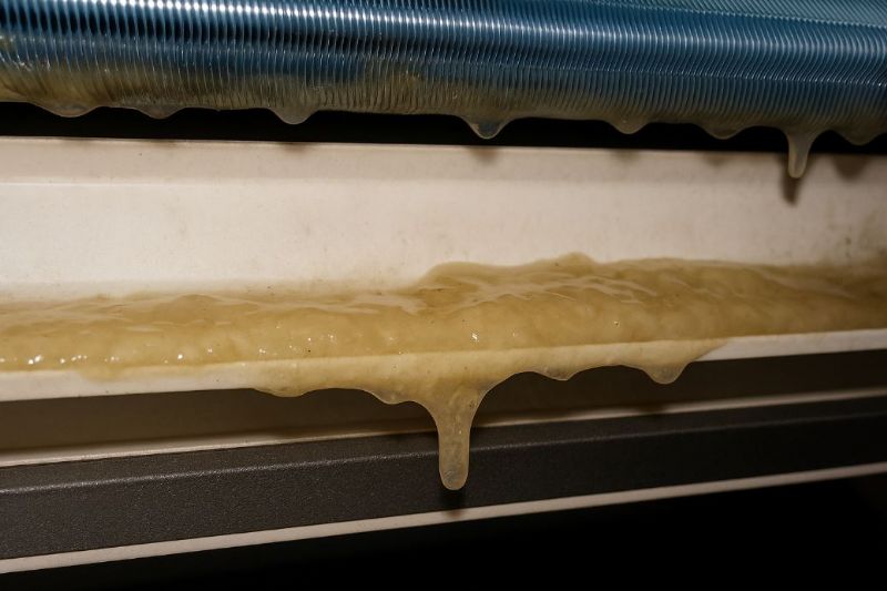 冷氣黴菌滋生引起過敏？了解原因與預防方法，守護室內健康空氣